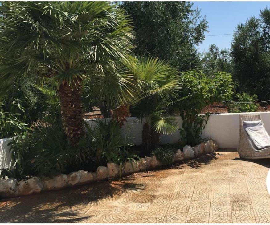 Trullo L'ulivo *