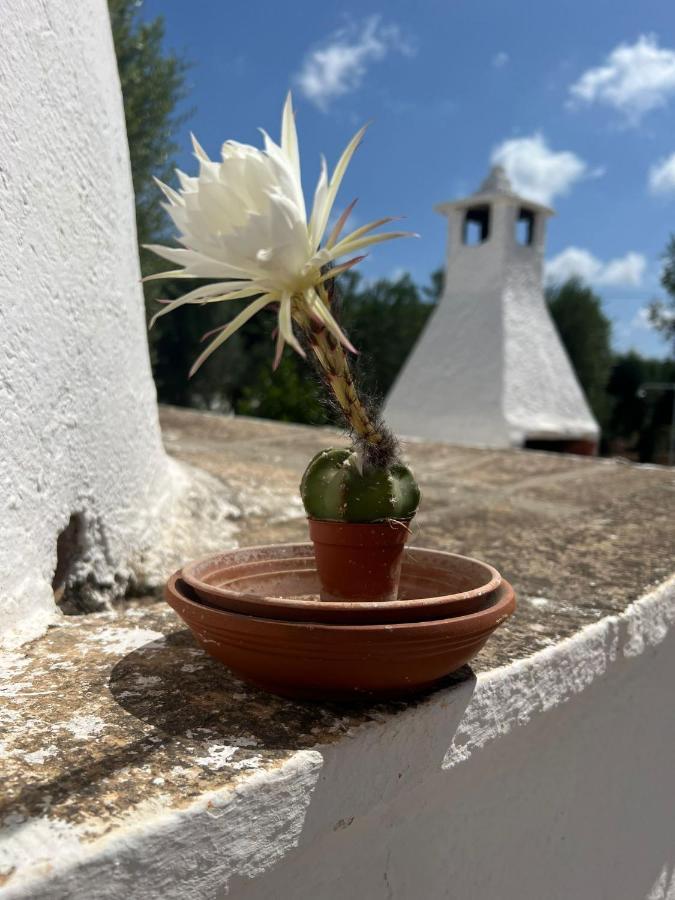 Holiday home Trullo L'ulivo *