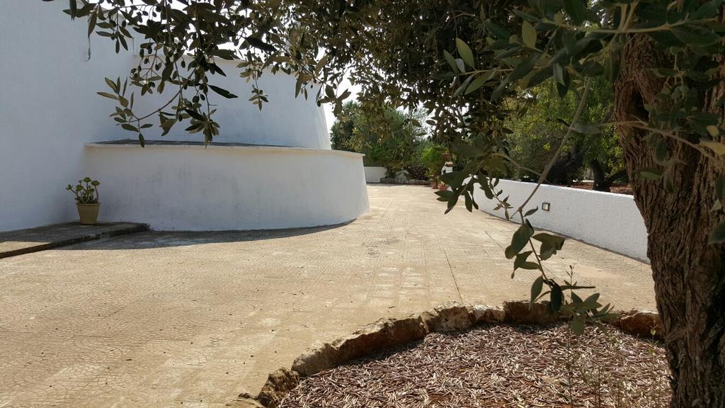 Trullo L'ulivo Holiday home